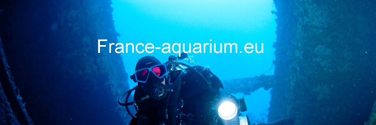 france-aquarium.blog-lognes.com